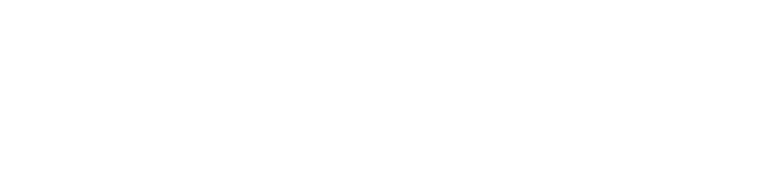 Deep Logic DeepLogic — Fra AI-mulighet til faktisk drift
